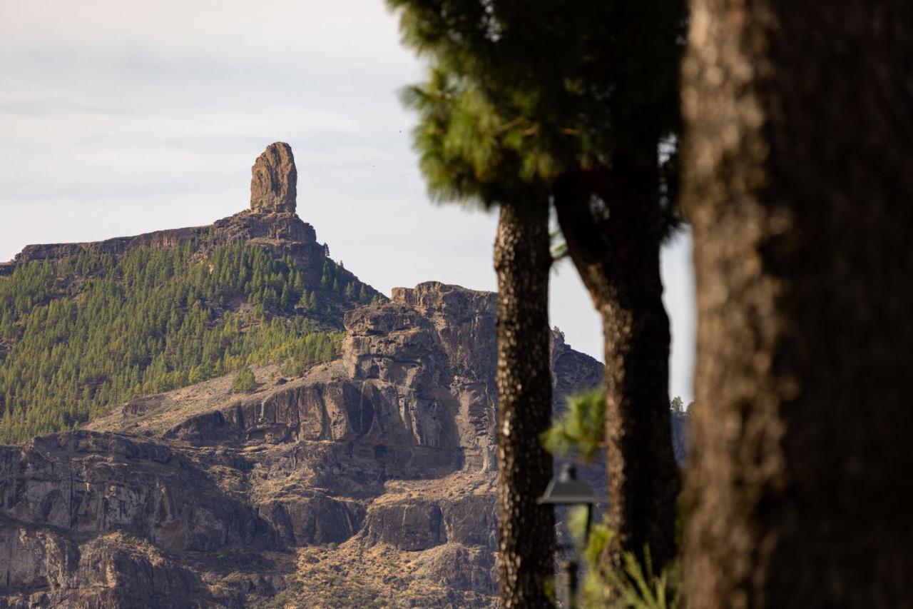 Апартаменты Casa Isabela With Roque Nublo View Крус-де-Техеда Экстерьер фото
